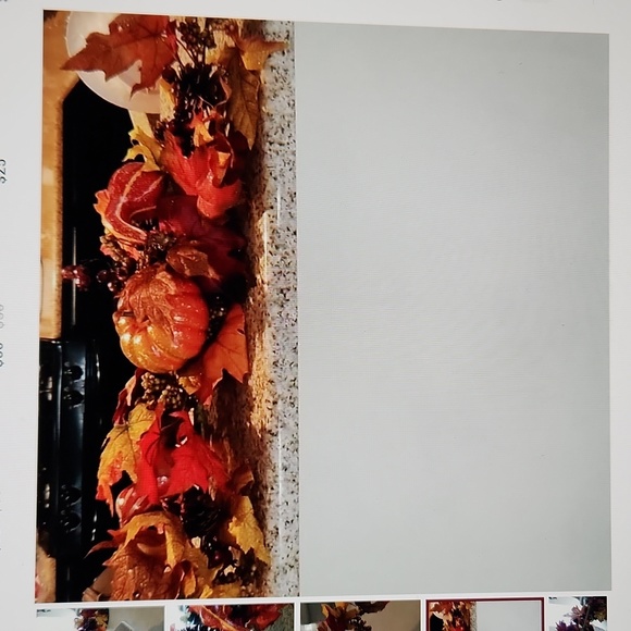 Autumn/Fall wreath - Picture 4 of 5